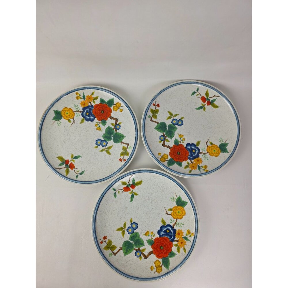 Vintage 1970 Mikasa Cordon Bleu Dynasty Stoneware 3 Dinner Plates Floral Design,